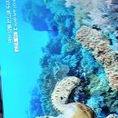 6.7 .일요일 이다 . 이미지