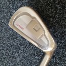 아이언 플렉스(IRON FLEX) 이미지