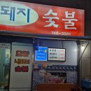 착한생돼지 이미지