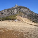 해남동물나라 이미지