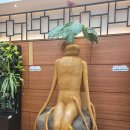 인삼랜드
