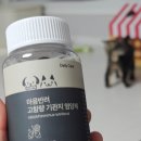 댕냥이집사몰 | 아깽이 토리의 기침 호흡기 케어, 건국대 박사님이 설계한 마음반려 고함량 기관지 영양제 정착기