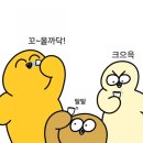 오늘도, 멍멍 이미지