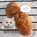 전주빵지순례 송해븐 택배 후기 포카치아맛집