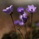 오늘은좋은날 이미지