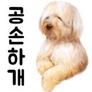 왈왈공방