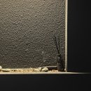 [ 성신여대 ] 이자카야 이야시 추천 후기 (성신여대술집/성신여대일식/성신여대맛집)