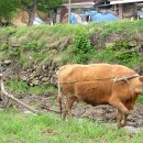 실버메디칼 이미지