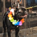 풀향기가든 이미지