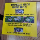 황제세꼬시 이미지