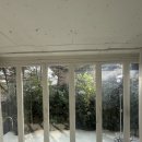 문하우스 | <메리드하우스>갈색문 후기.