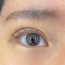 동춘당로114번길 | ㅣ 브로우아이 ㅣ 대전속눈썹연장 추천! 비어있는 눈매도 인형 눈매로 변신하는 솔직 후기