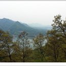 명구농장 Daum카페