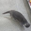 GS25송파센타 이미지