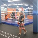 수원동양복싱 이미지