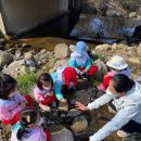 화개초병설유치원 이미지