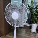 신일오토 이미지