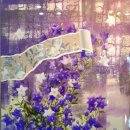 경기도 수원시 권선구 권중로 55 (권선동) 이미지