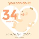임신 34주차 일기 : 2024년 마무리, 2025년 안녕!