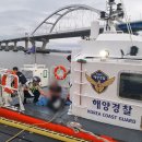 소룡 이미지