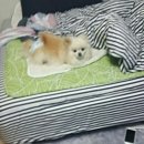 우리단비랑 이미지