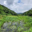 법수리마을 이미지