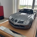 SLR (ivy) 이미지