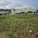 이정훈내과의원 이미지