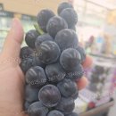 김태근농장 이미지