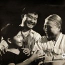 노마 이미지
