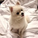 설악온천맘모스리조텔 이미지