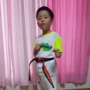 용인대흥도태권도 이미지