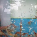 박지연명품생태 이미지