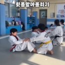 서종태권도장 네이버블로그