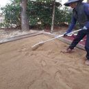 율원초교 병설유치원 이미지