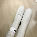 해피PC | 22주 임산부 해피테일즈 바디필로우 내돈내산 후기