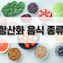 루트90