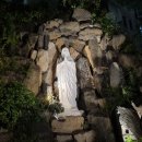 주교농장 | 순교지 새남터와 삼성산이 보이는 용산성당 (출처:가톨릭평화신문 24.11.10 이학주 기자)