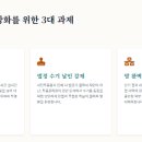 일류화