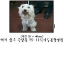 유천지구대 Daum카페