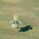 중앙대로226번길 이미지