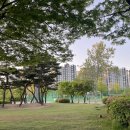 옥구인조잔디축구장 이미지