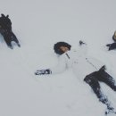 벨라레오