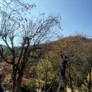 대둔산그린시티오토캠핑장 이미지