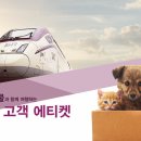 CW-0800-01 이미지