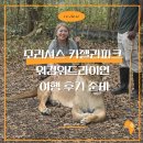 위드파크환경도서관 | 모리셔스 카젤라파크 워킹위드라이언 여행 후기 준비 팁