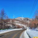 함백산 할매민박 이미지