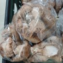 아름동_싱싱장터2호점앞 | 산채인 표고버섯 농장의 하루 11월의 13일