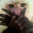 오송웨이브 이미지