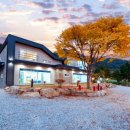 젤코바480 이미지